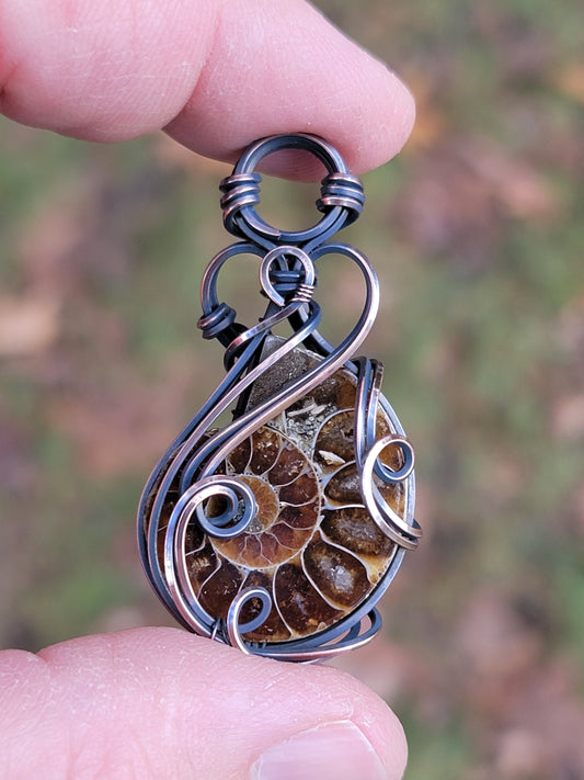 Polished Ammonite Fossil Necklace Wire Wrap Pendant Copper Jewelry