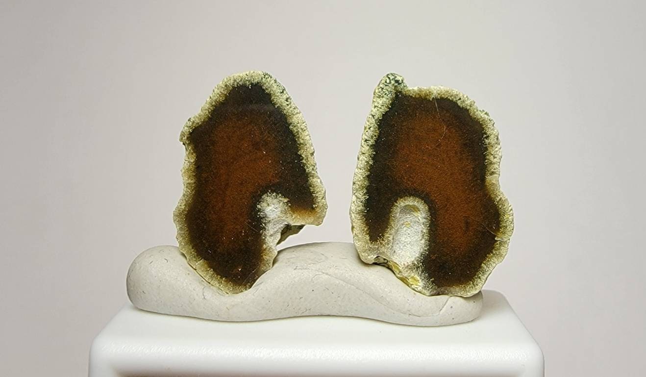 Polished Geode Pair - 20mm x 13mm x 8mm - 5 grams - Lot 103