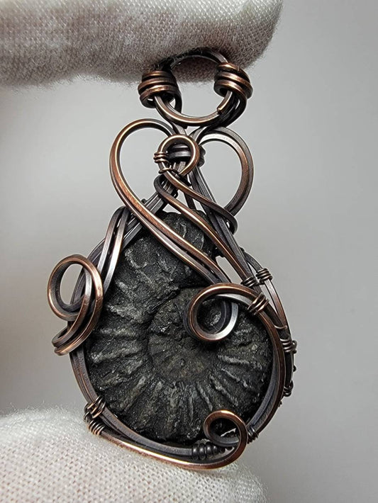 Black Ammonite Fossil - 'Tyet' - Wire Wrap Pendant - Oxidized Copper